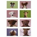Postkarte mit Aufkleber - Kleine Freunde 02 - Stickerkarte