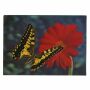 Cartolina lenticolare 3D - farfalla 2 - carta con effetto