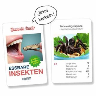 Kartenspiel-Quartett - Essbare Insekten