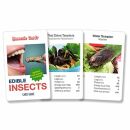 Kartenspiel-Quartett - Edible Insects