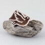 Sello de madera - pájaro - derecho - 5 cm - Madera