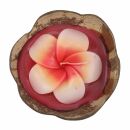 Vela - hibisco en cáscara de coco - rojo