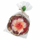 Scented candle in a coconut shell - Hibiscus - red