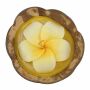 Vela - hibisco en cáscara de coco - amarillo