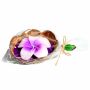 Scented candle in a coconut shell - Hibiscus - purple