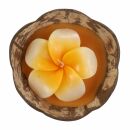 Vela - hibisco en cáscara de coco - naranja