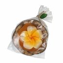 Scented candle in a coconut shell - Hibiscus - orange