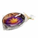 Scented candle in a coconut shell - Hibiscus - purple-orange