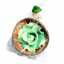 Scented candle in a coconut shell - Rose - green