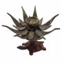 Incense cone holder - Candle holder - Turtle - Brass - red