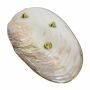 Jewellery Bowl - Seashell - golden Ornaments