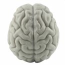 cerebro de dedo - 1x cerebro - títere de dedo - gris