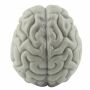 dito cervello - 1x cervello - pupazzo da dito - grigio