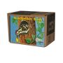 Savings box - collectable toys - Woodpecker Bank