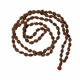 Cadena de oración - Cadena de Mala - Cadena de meditación - Cuentas de Rudraksha - Modelo 04 - 2 Mukhi