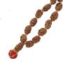 Gebetskette Mala Kette Rudraksha Perlen Modell 04 2 Mukhi Halskette Meditationskette