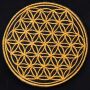 Patch - Flower of life - gold or silver - Patch