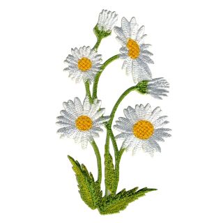 Patch - Daisy - plant - white - Patch