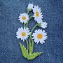 Patch - Daisy - plant - white - Patch