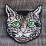 Patch - testa di gatto - occhi verdi - toppa