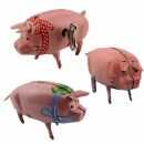 Tin toy - collectable toys - Polly the pig