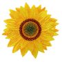 Toppa - Girasole - Fiore - Patch