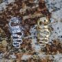 Ring Schlange Einheitsgröße Fingerring