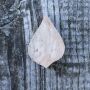 Wooden stamp leaf 2.95 inch leaflet stamp made of wood