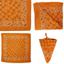 Bandana scarf Paisley pattern 04 square bandana