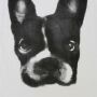 Camiseta chica - Bulldog