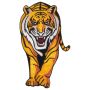 Patch tigre arancione toppa