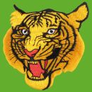 Patch testa di tigre arancione toppa