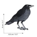 Patch corvo uccello toppa