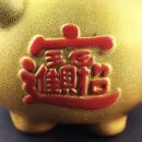 Savings box - Lucky pig - gold - big