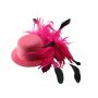 Pinza para el pelo sombrero y pluma - broche del pelo - grande - rosa