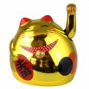 Gatto della fortuna - Gatto cinese - Maneki neko forma...
