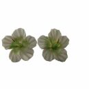 Earrings - Flower 4