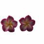 Earrings - Flower 8