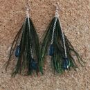 Feather Earrings 4 medium > Peacock Feather Earrings