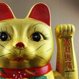 NNNKO 5PCS gatti fortunati fatti di ceramica deco portafortuna catkins bacchette banca gatti biscotti Maneki Neko ceramica decorazione cucina 