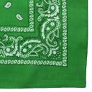 Bandana Scarf - Paisley pattern 02 - green - white -...