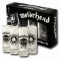 Set di bicchieri - Motörhead - 4 bicchieri - Stamper
