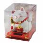 Gatto della fortuna - Gatto cinese - Maneki neko su piattaforma - 10,5cm - bianco